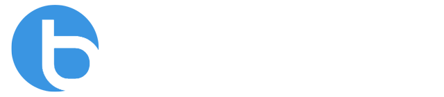 Brisk System